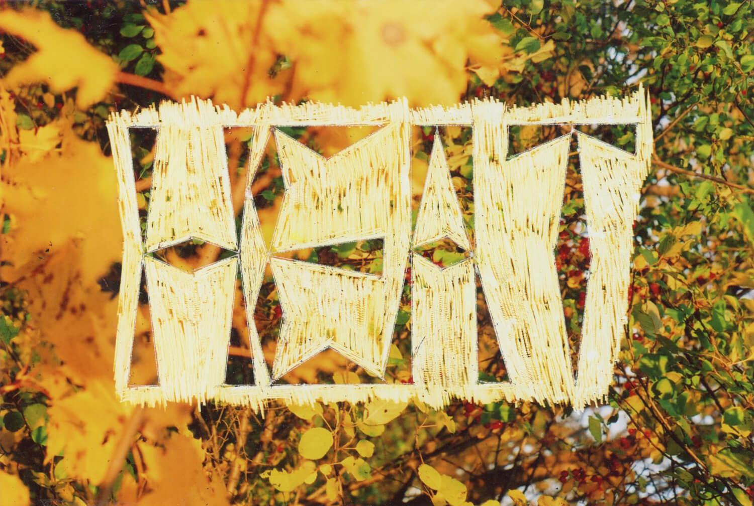 The word "Heat" is scratched onto a photo of tree leaves. The lettering is stylized. 6x4 inches