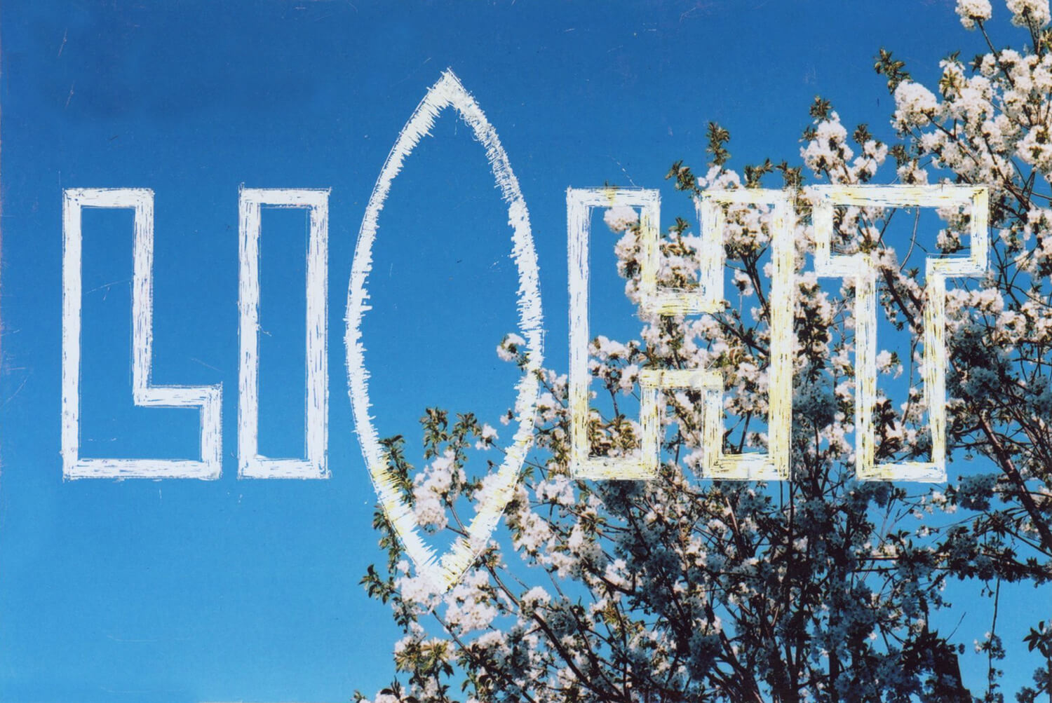 The word 'LIGHT' has been scratched onto a photo of a branch of a cherry tree in blossom against a blue sky. The letter "G" in "LIGHT" has been replaced with a lens shape. 6x4 inches